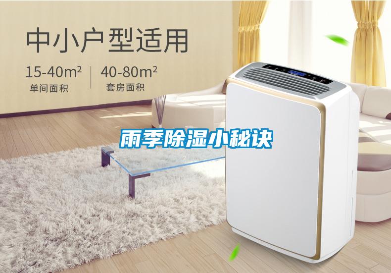 雨季除湿小秘诀