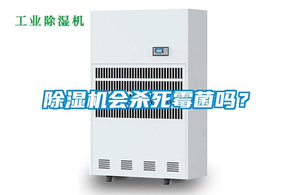 除湿机会杀死霉菌吗？