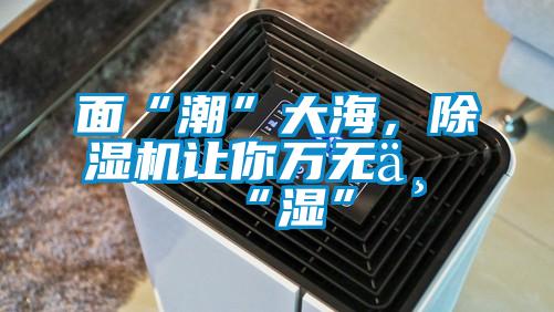 面“潮”大海，除湿机让你万无一“湿”