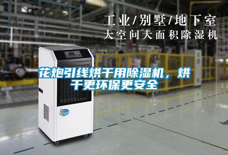 花炮引线烘干用除湿机，烘干更环保更安全
