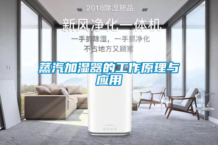 蒸汽加湿器的工作原理与应用