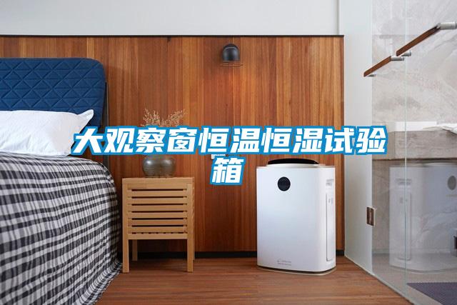 大观察窗恒温恒湿试验箱