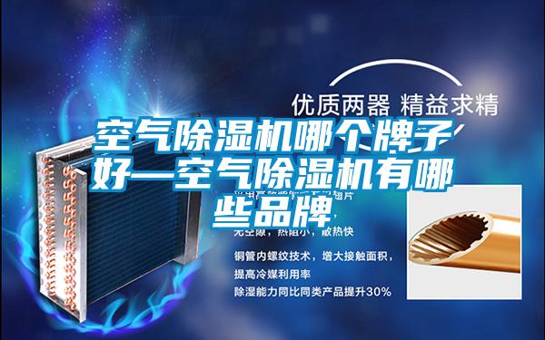 空气除湿机哪个牌子好—空气除湿机有哪些品牌