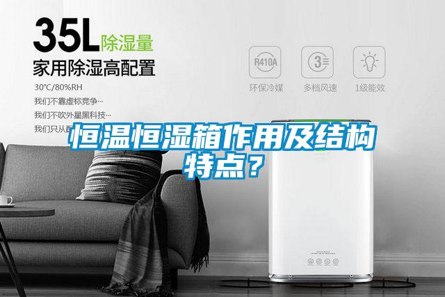 恒温恒湿箱作用及结构特点？