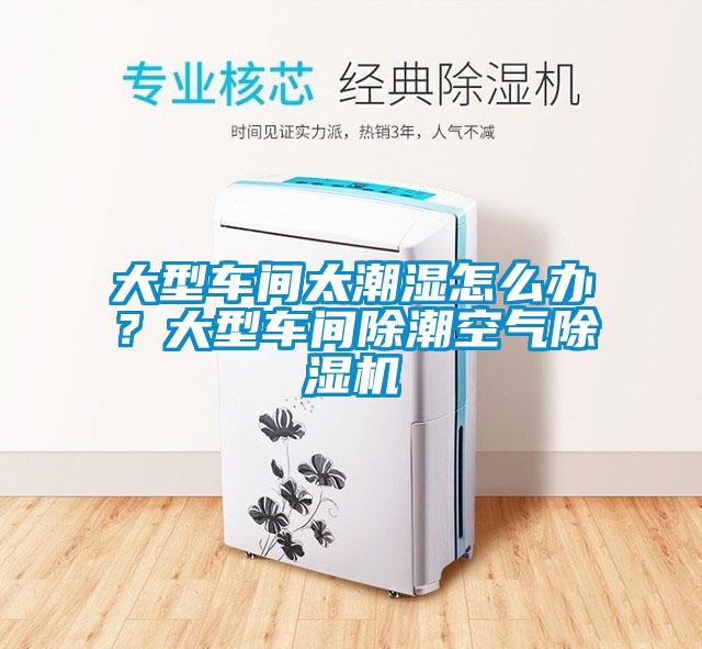 大型车间太潮湿怎么办？大型车间除潮空气除湿机