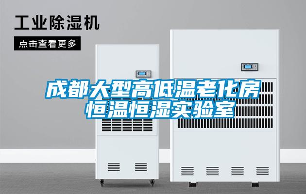 成都大型高低温老化房 恒温恒湿实验室