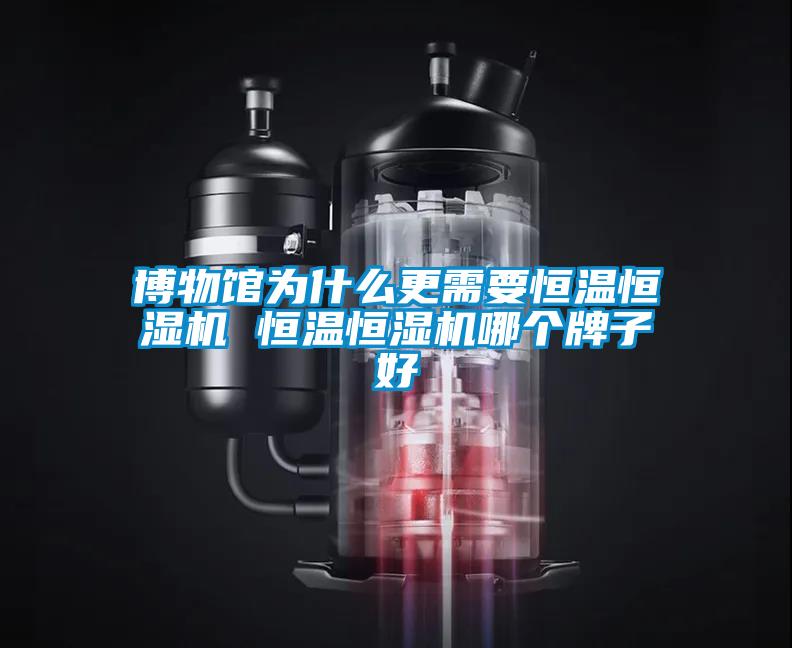 博物馆为什么更需要恒温恒湿机 恒温恒湿机哪个牌子好