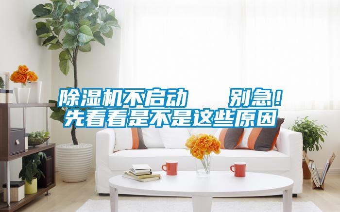除湿机不启动   别急！先看看是不是这些原因