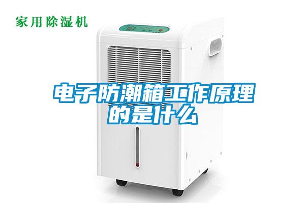 电子防潮箱工作原理的是什么