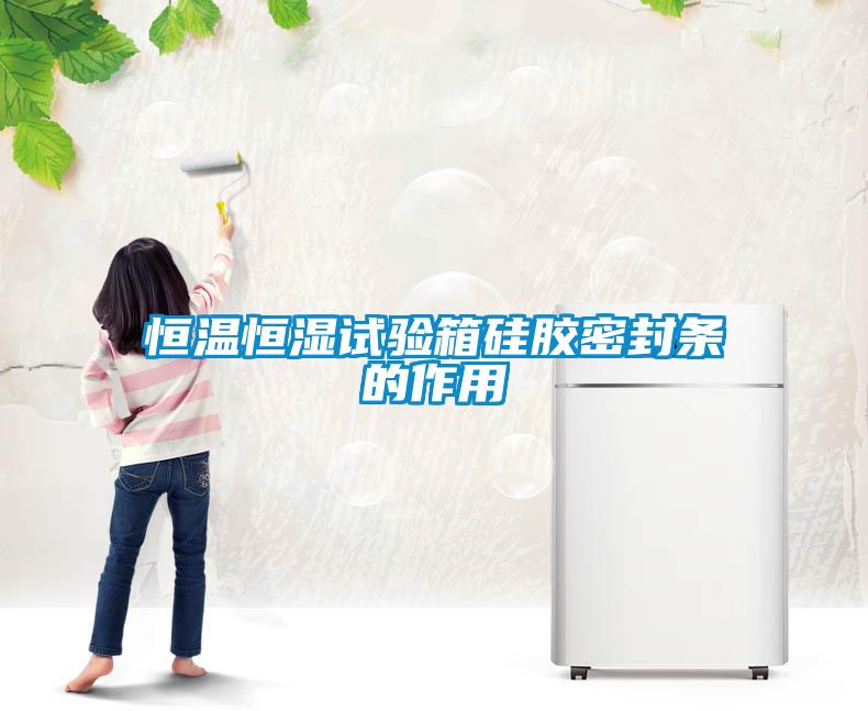 恒温恒湿试验箱硅胶密封条的作用