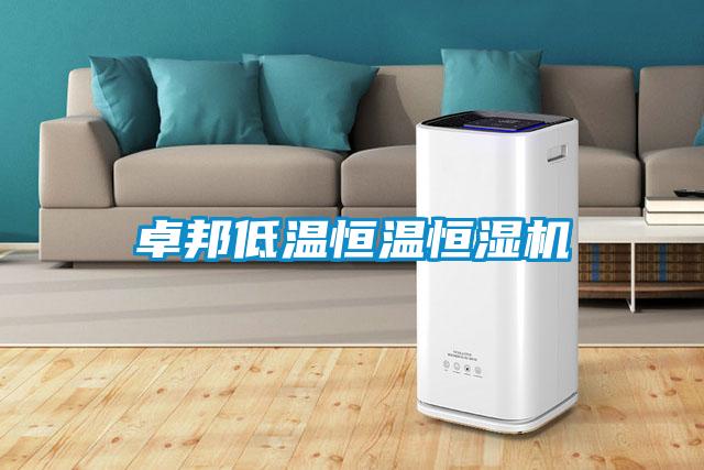 卓邦低温恒温恒湿机