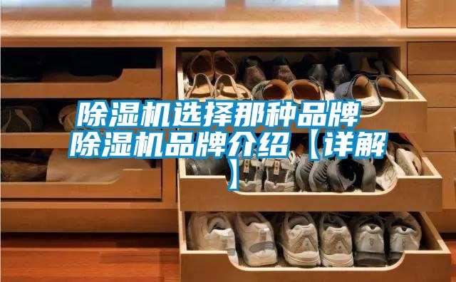 除湿机选择那种品牌 除湿机旭彩网【详解】