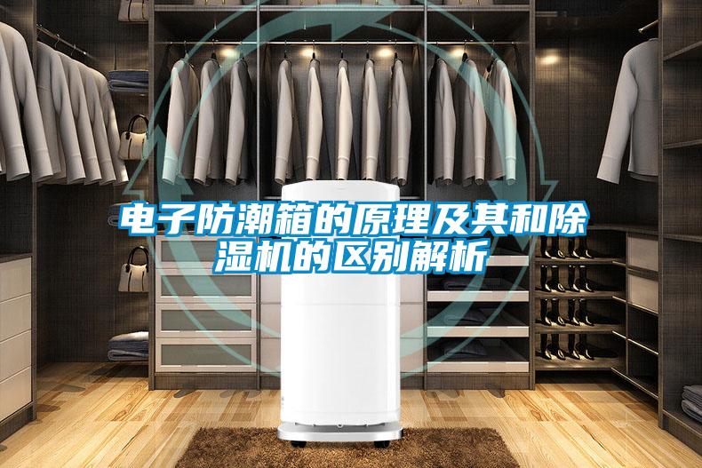 电子防潮箱的原理及其和除湿机的区别解析