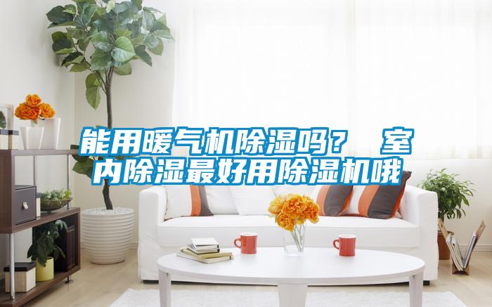能用暖气机除湿吗？ 室内除湿最好用除湿机哦