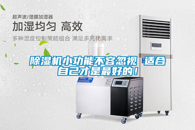 除湿机小功能不容忽视 适合自己才是最好的！