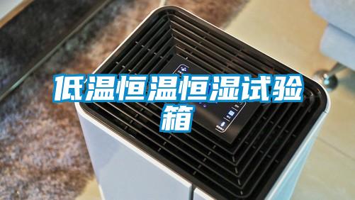 低温恒温恒湿试验箱