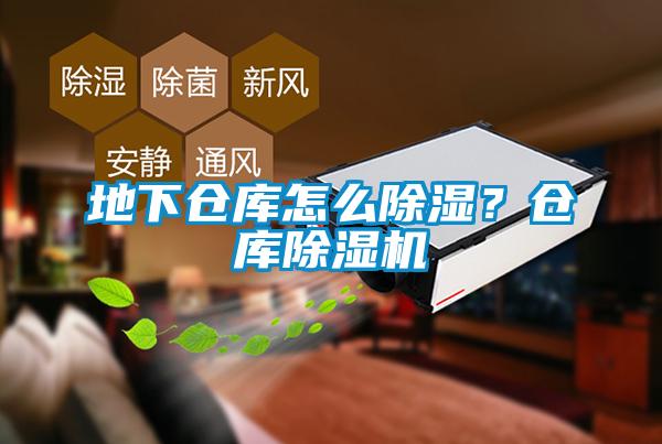 地下仓库怎么除湿？仓库除湿机