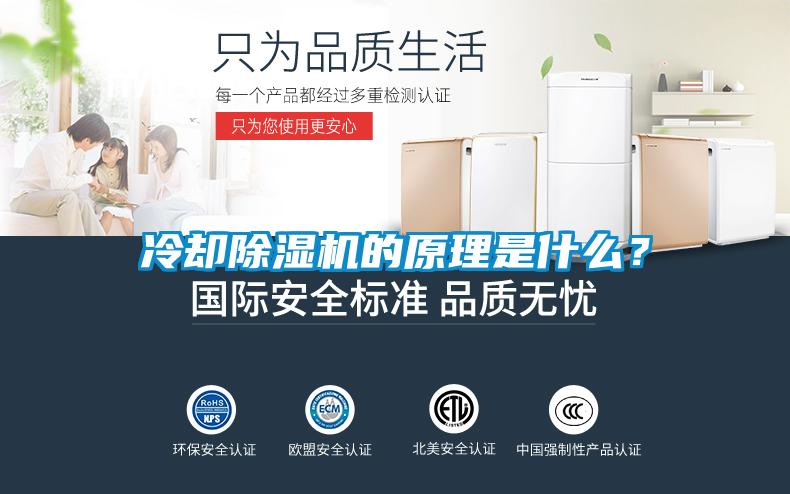 冷却除湿机的原理是什么？