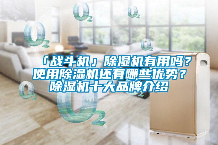 「战斗机」除湿机有用吗？使用除湿机还有哪些优势？除湿机十大旭彩网