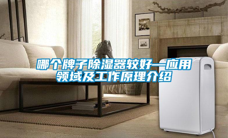 哪个牌子除湿器较好—应用领域及工作原理介绍