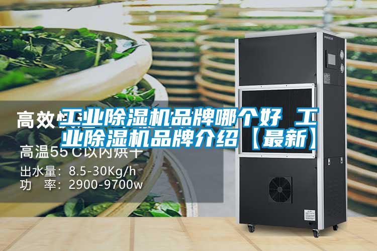 工业除湿机品牌哪个好 工业除湿机旭彩网【最新】