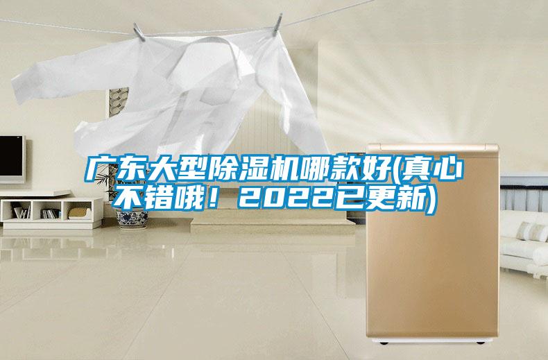 广东大型除湿机哪款好(真心不错哦！2022已更新)