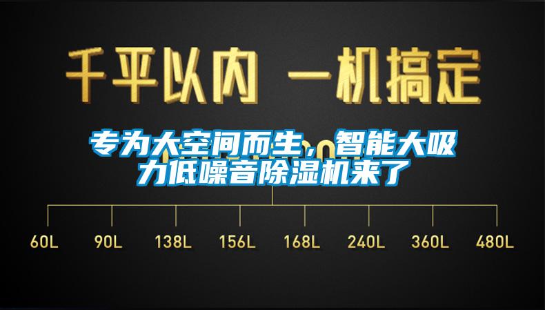 专为大空间而生，智能大吸力低噪音除湿机来了