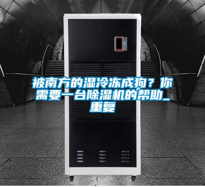 被南方的湿冷冻成狗？你需要一台除湿机的帮助_重复