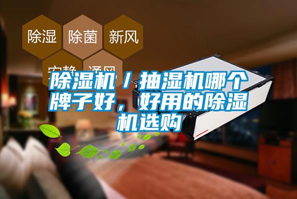 除湿机／抽湿机哪个牌子好，好用的除湿机选购