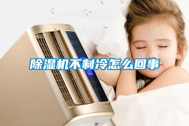 除湿机不制冷怎么回事
