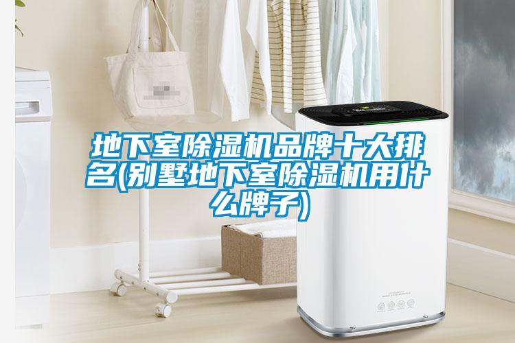 地下室除湿机品牌十大排名(别墅地下室除湿机用什么牌子)