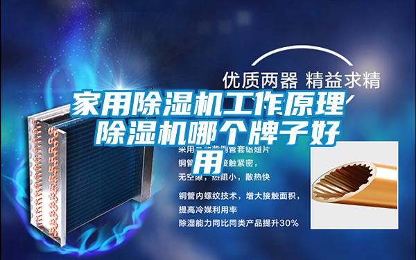 家用除湿机工作原理 除湿机哪个牌子好用