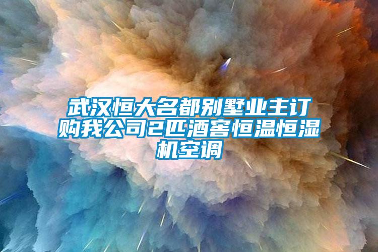 武汉恒大名都别墅业主订购我公司2匹酒窖恒温恒湿机空调