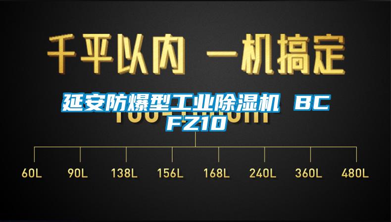 延安防爆型工业除湿机 BCFZ10