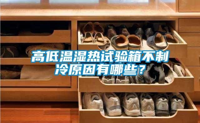 高低温湿热试验箱不制冷原因有哪些？