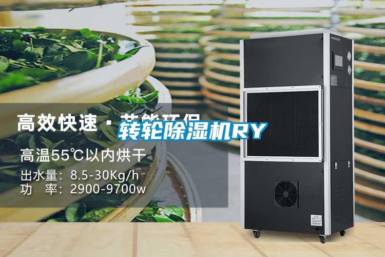 转轮除湿机RY