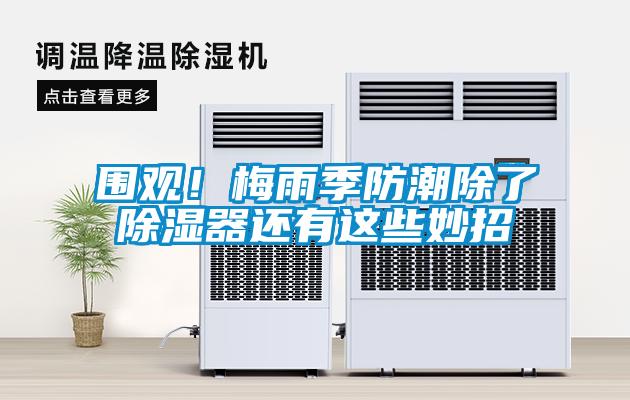 围观！梅雨季防潮除了除湿器还有这些妙招