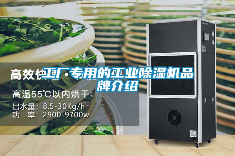 工厂专用的工业除湿机旭彩网
