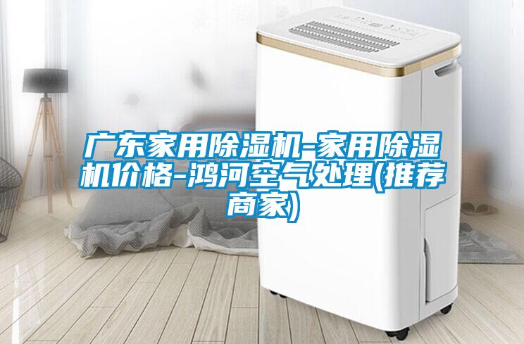广东家用除湿机-家用除湿机价格-鸿河空气处理(推荐商家)