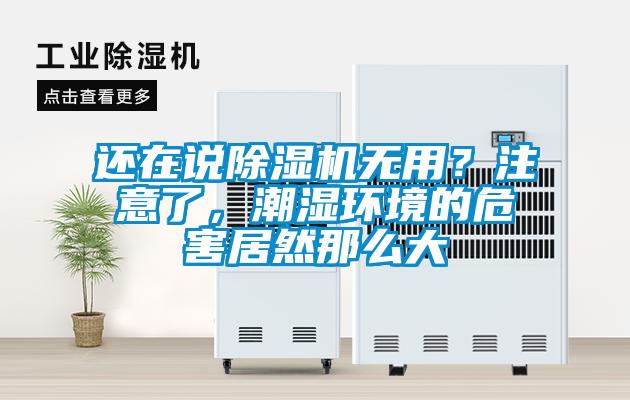 还在说除湿机无用？注意了，潮湿环境的危害居然那么大