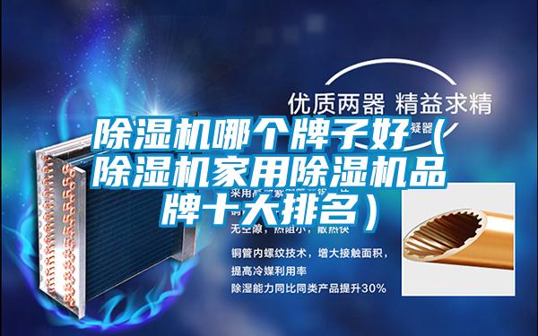 除湿机哪个牌子好（除湿机家用除湿机品牌十大排名）