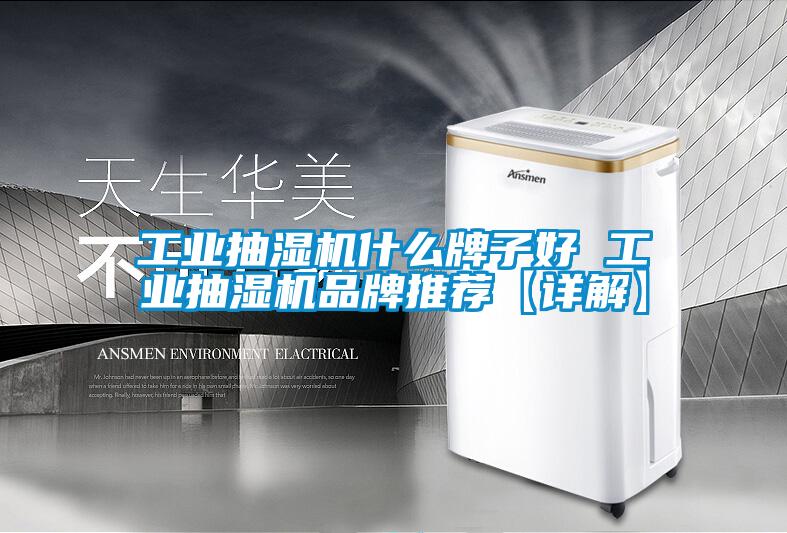 工业抽湿机什么牌子好 工业抽湿机品牌推荐【详解】