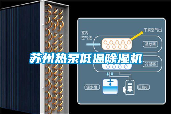 苏州热泵低温除湿机