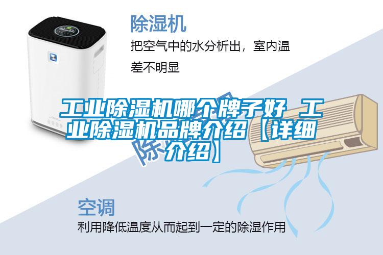 工业除湿机哪个牌子好 工业除湿机旭彩网【详细介绍】