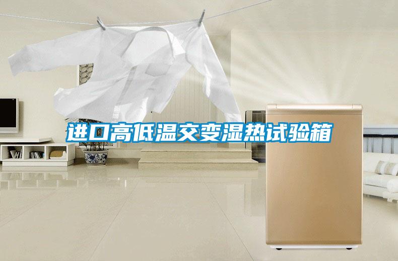 进口高低温交变湿热试验箱