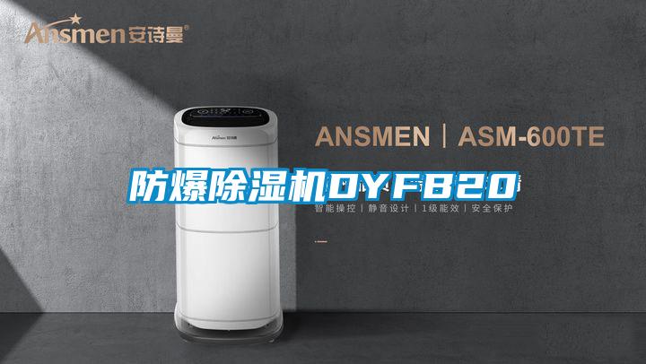 防爆除湿机DYFB20