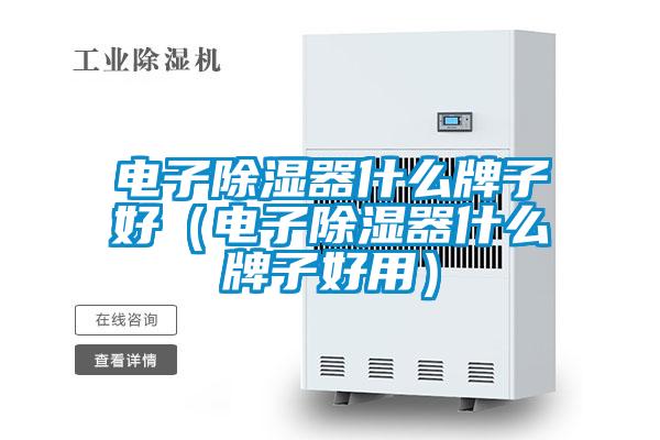 电子除湿器什么牌子好（电子除湿器什么牌子好用）