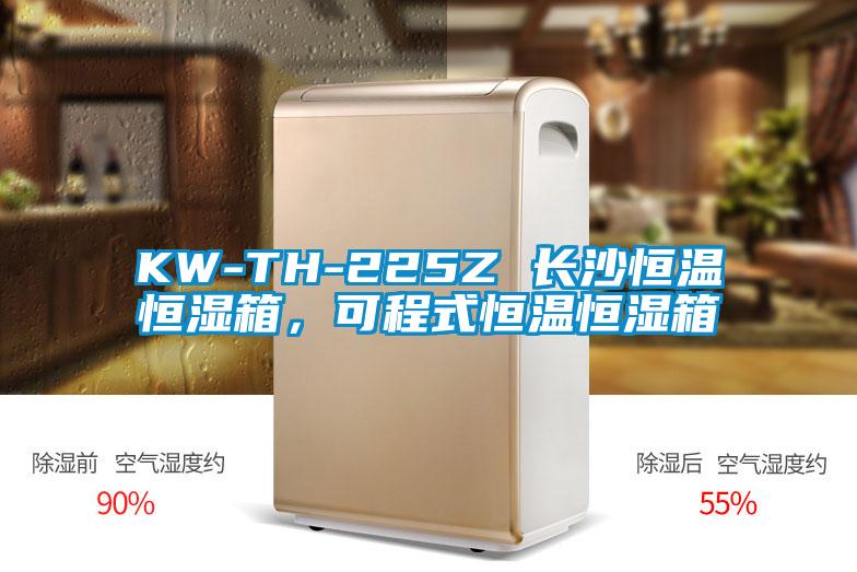 KW-TH-225Z 长沙恒温恒湿箱，可程式恒温恒湿箱