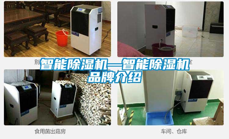智能除湿机—智能除湿机旭彩网