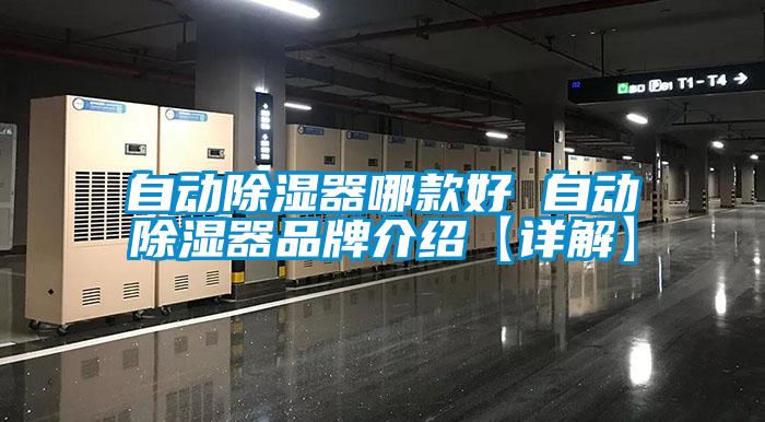 自动除湿器哪款好 自动除湿器旭彩网【详解】